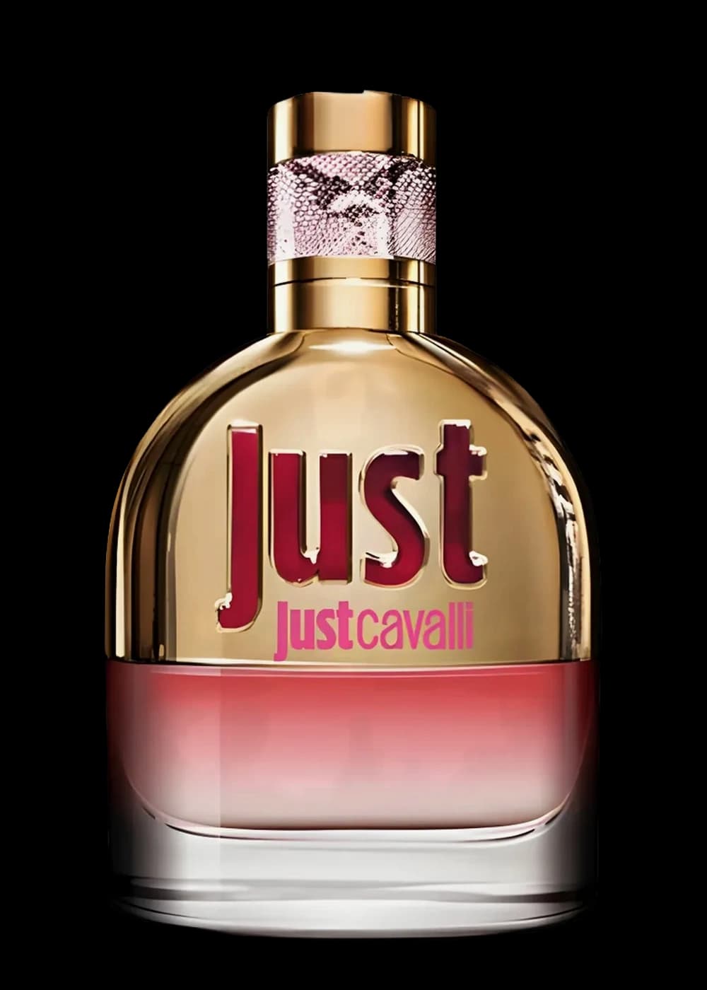 Roberto Cavalli Just Cavalli