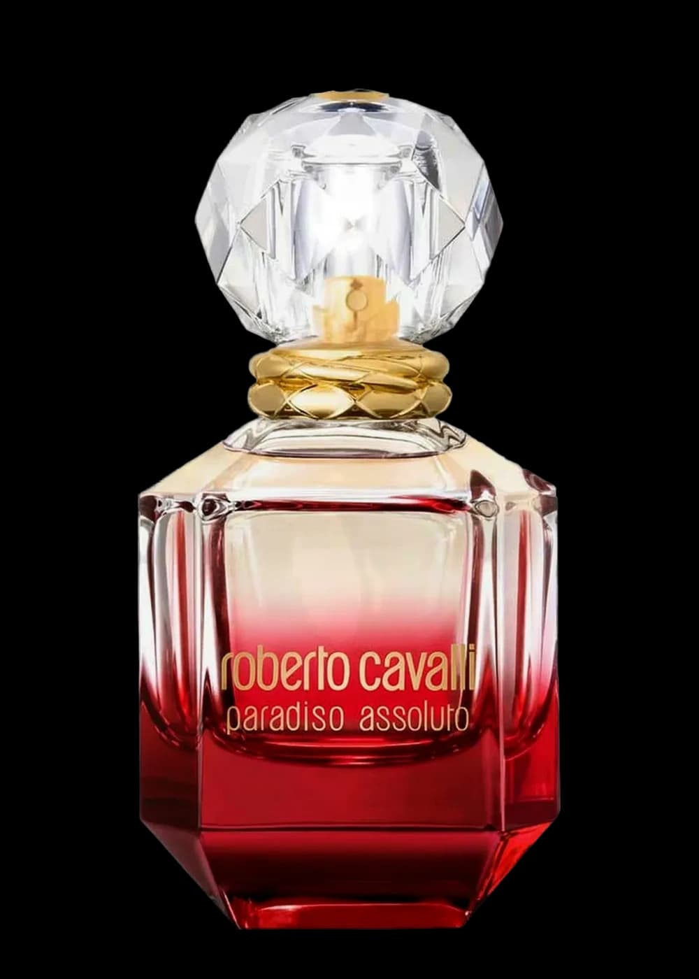 Roberto Cavalli Paradiso Assoluto
