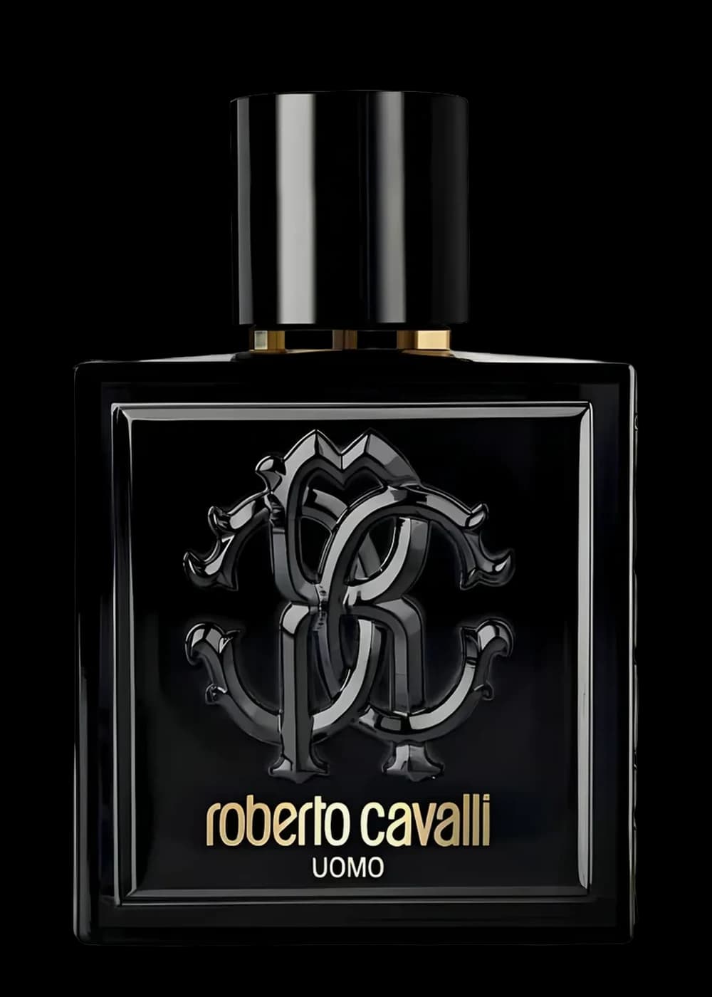 Roberto Cavalli Uomo