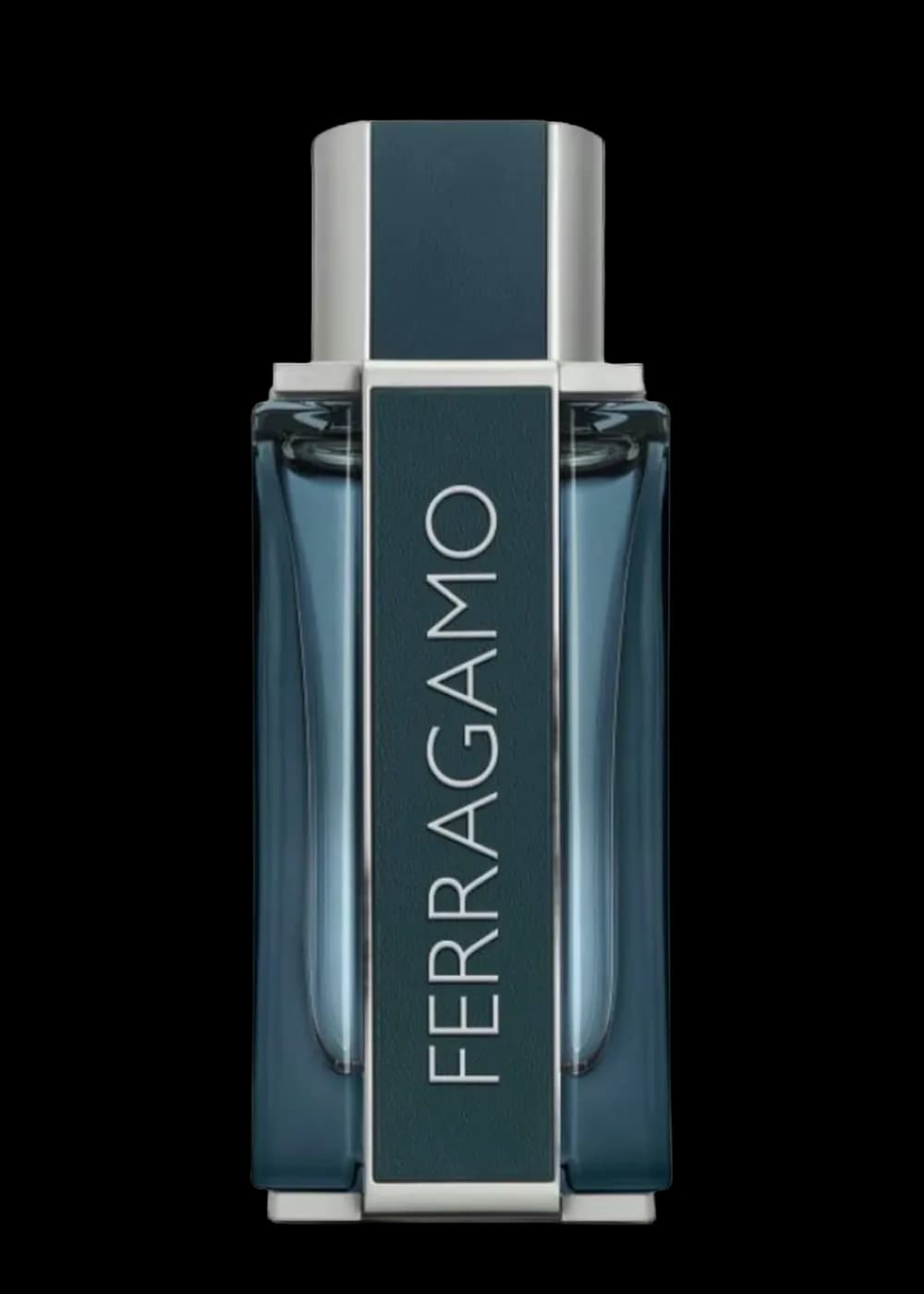 Salvatore Ferragamo Intense Leather